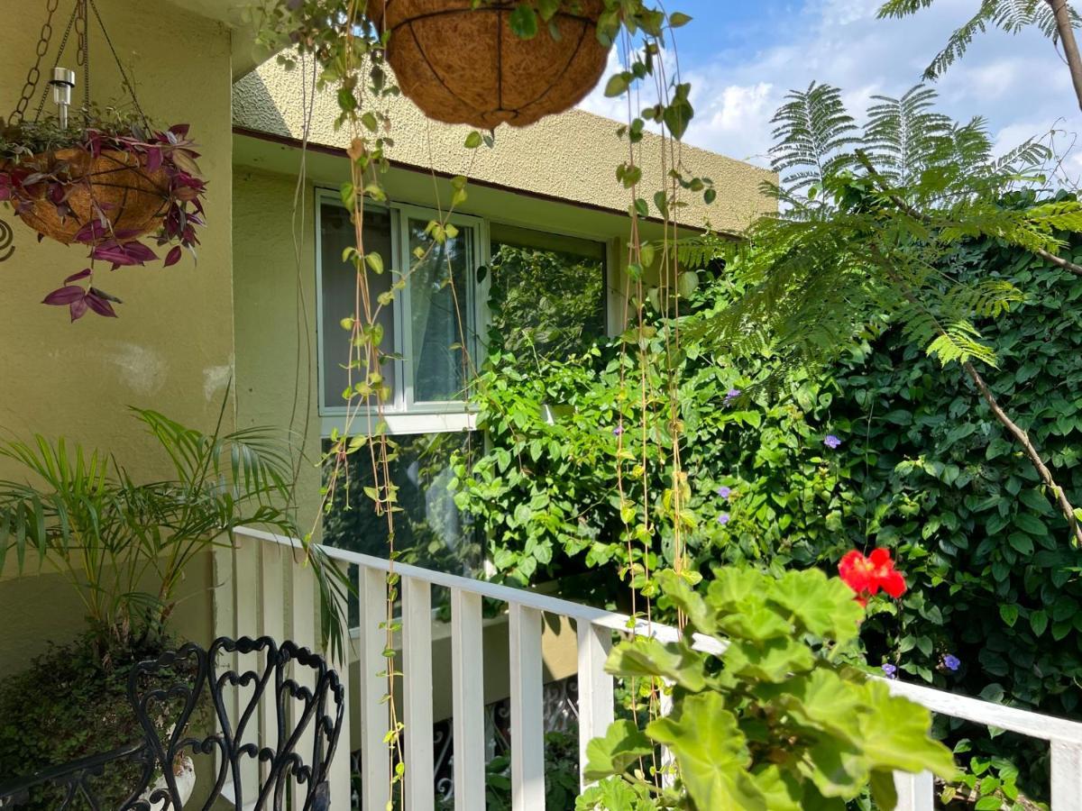 Dickinson Guest House, Guadalajara Expo ภายนอก รูปภาพ