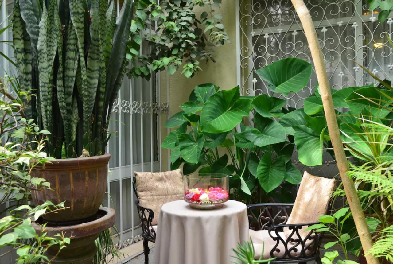Dickinson Guest House, Guadalajara Expo ภายนอก รูปภาพ